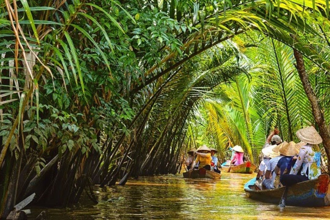 top 15 resort ben tre 18