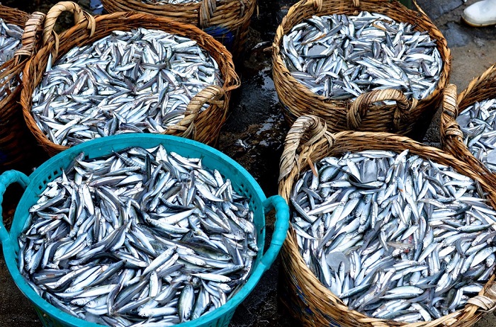 nước mắm phú quốc
