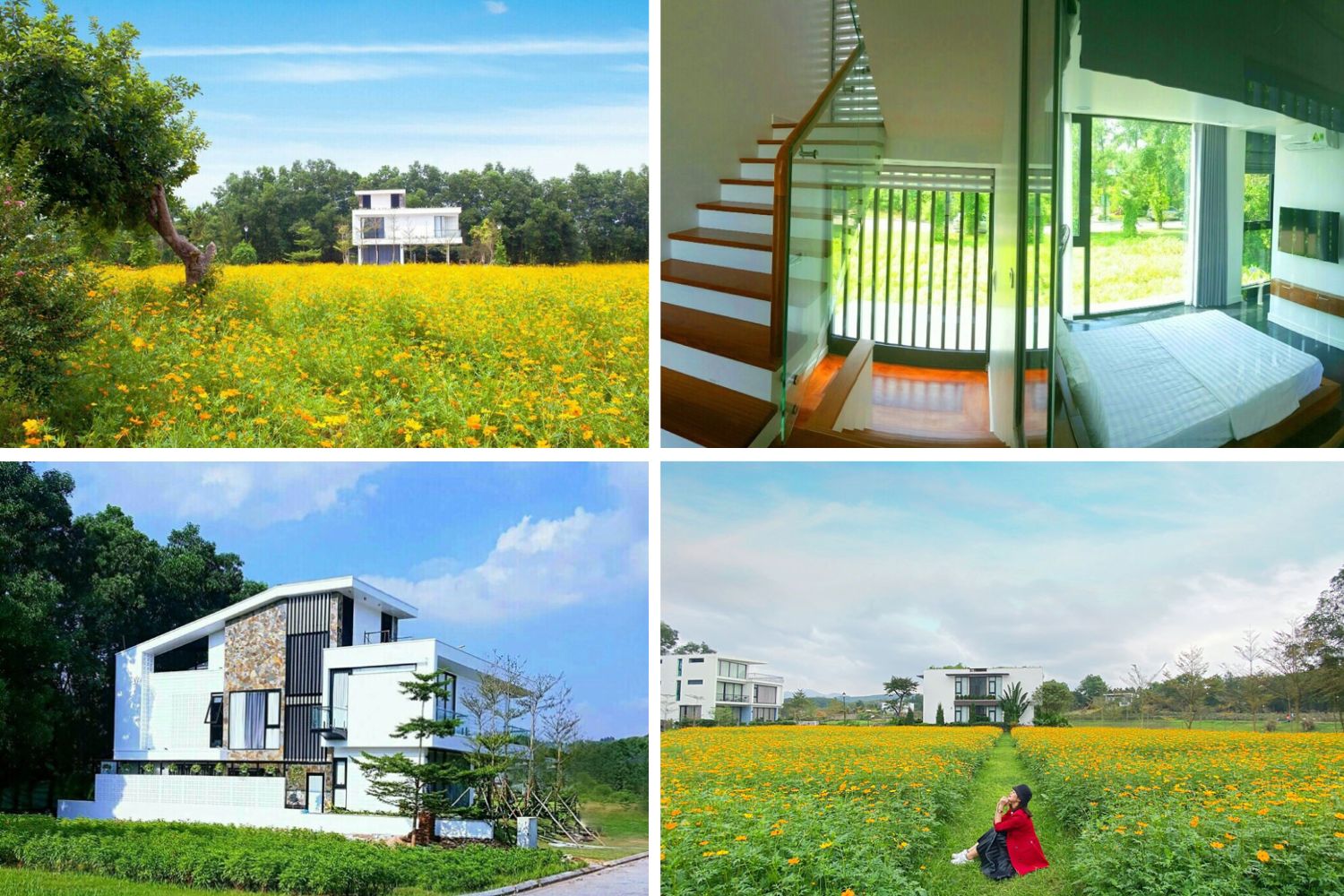 Top 10 biệt thự villa Đại Lải có hồ bơi giá rẻ hot nhất 2022