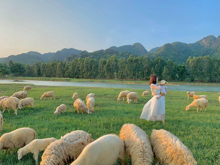 Kinh nghiệm du lịch Đồi Cừu ở Ninh Bình