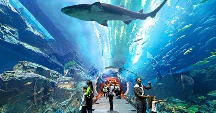 Thuỷ Cung Time City - Những địa điểm vui chơi thú vị ở Hà Nội