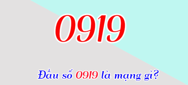 0919 là mạng gì? Khám phá ý nghĩa của số 0919 trong ngũ hành