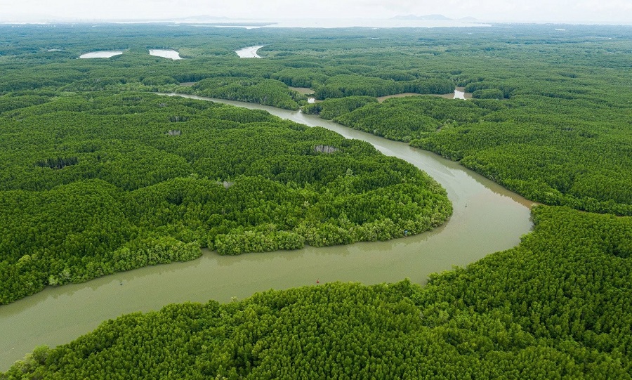 Du lịch Sài Gòn 1 ngày đi đâu? Gợi ý lịch trình vui chơi