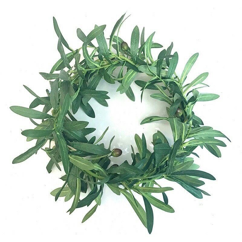 Cây olive: đặc điểm, ý nghĩa cây oliu, nơi bán cây oliu giống