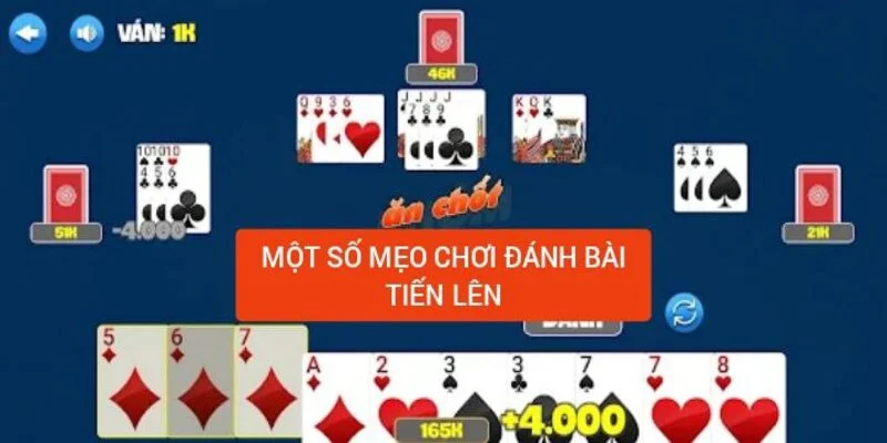Bốn loại thịt lợn là gì? Bốn loại thịt lợn có thể ăn được tất cả mọi thứ không?