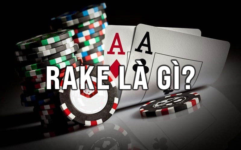 Rake Là Gì? Khám Phá Các Loại Rake Phổ Biến Trong Poker