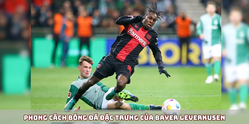 Bayer Leverkusen - Hành Trình Vươn Tới Vinh Quang