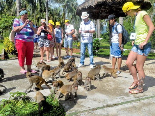 resort cat ba 14